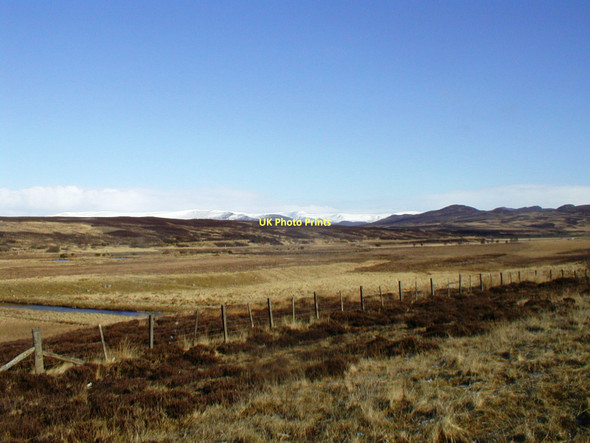Photo 6"x4" Rough Grazing Dalwhinnie c2004