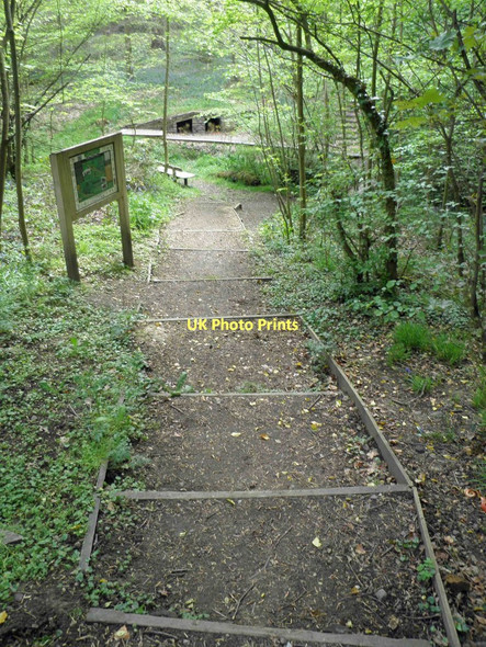 Photo 6"x4" Steps down to the Huskar pit disaster monument Berry Moor c2011