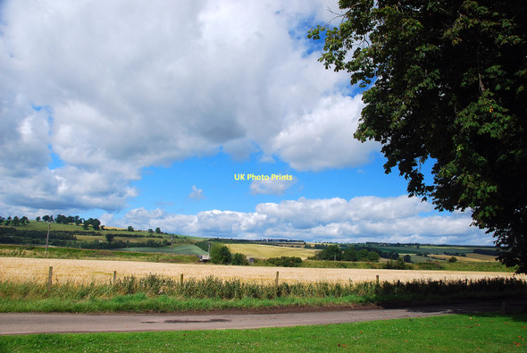 Photo 6"x4" Parallel to the Railway Line Dunning c2010