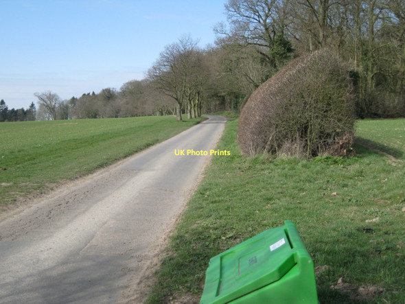Photo 6"x4" Lane to Hanworth past the Belt Hanworth\/TG1935 c2011