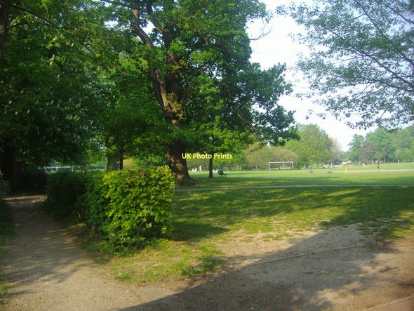 Photo 6"x4" Horsham Park Horsham\/TQ1731 c2011