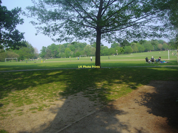 Photo 6"x4" Horsham Park Horsham\/TQ1731 c2011