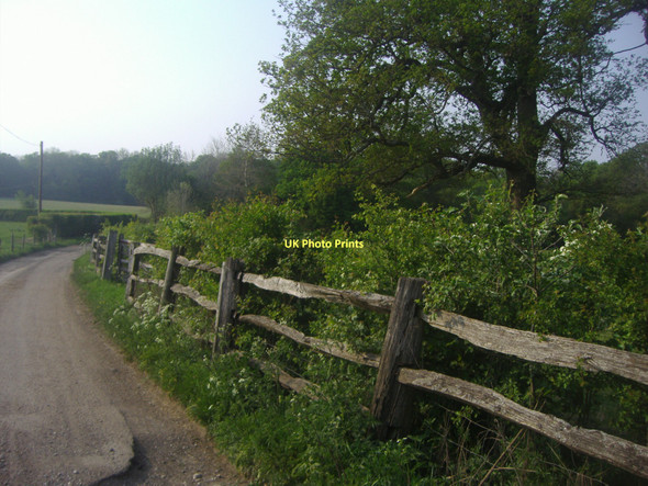 Photo 6"x4" Track towards Durfold Kingsfold\/TQ1636 c2011