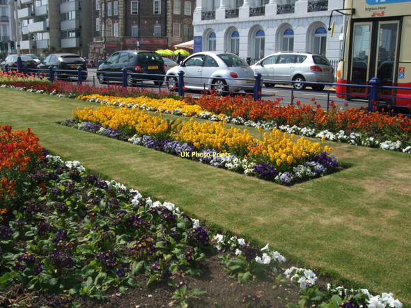 Photo 6"x4" Carpet Gardens - Eastbourne Eastbourne\/TQ5900 c2011