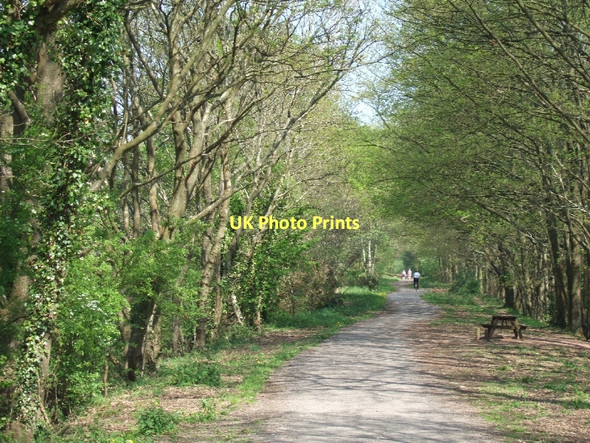 Photo 6"x4" NCN 2 passing woods near Castle Lane Littleham\/SY0281 c2011