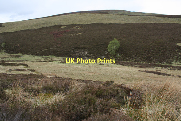 Photo 6"x4" Eastern slopes of Tor Elick Tor Elick c2011