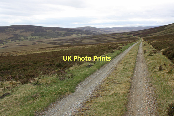 Photo 6"x4" Track to Blackwater Lodge Scaut Hill\/NJ3331 c2011