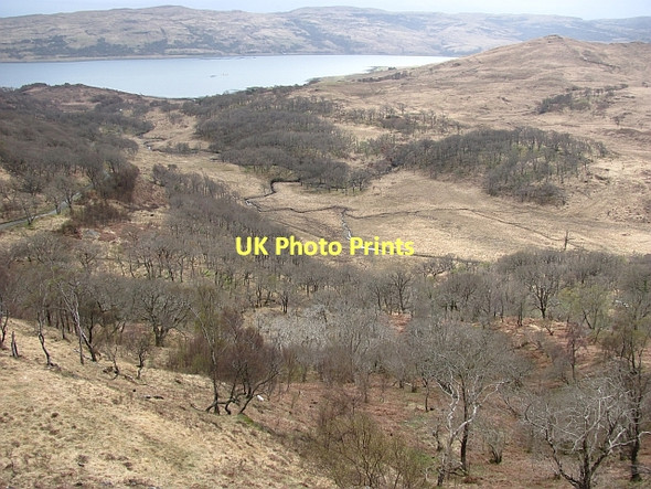 Photo 6"x4" Abhainn a' Choire Strathcoil c2011