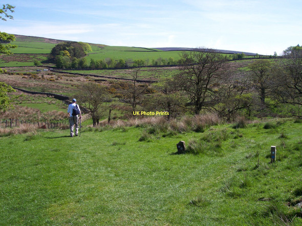 Photo 6"x4" The grassy path from Fell End to Grizedale Bridge Oakenclough\/SD5447 c2011