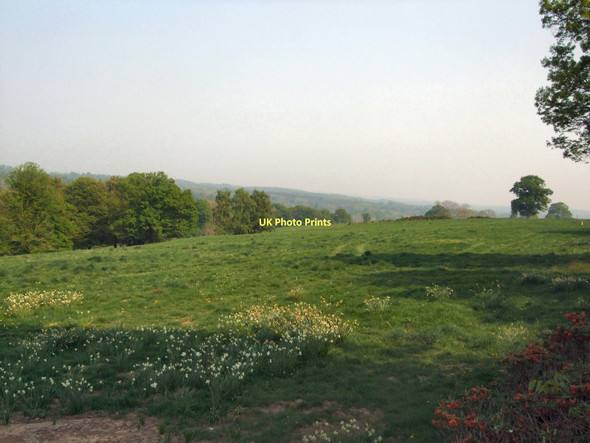 Photo 6"x4" View from Nymans Gardens Handcross c2011