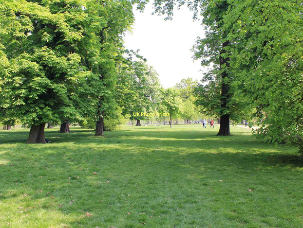 Photo 6"x4" Kensington Gardens Kensington\/TQ2579 c2011