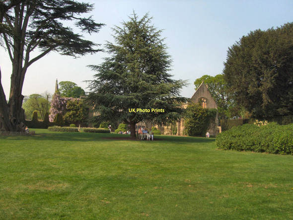 Photo 6"x4" Green in front of Nymans House Handcross c2011