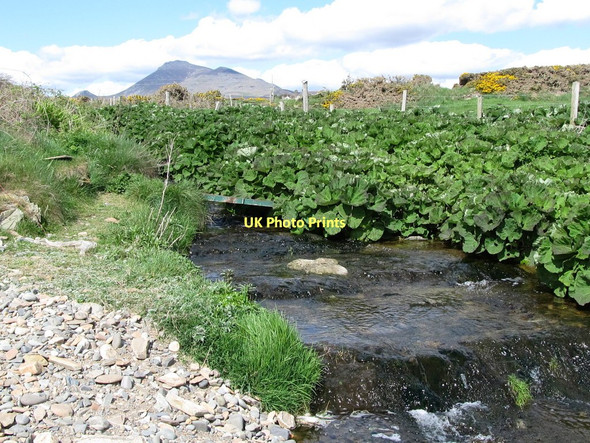 Photo 6"x4" Stream flowing into Samuel's Port Annalong c2011