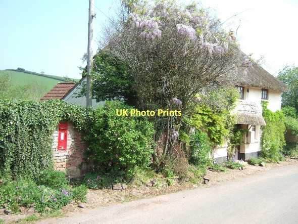 Photo 6"x4" West Sandford Crediton c2011