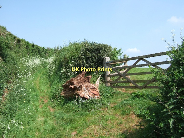 Photo 6"x4" Green lane and gate near West Sandford West Sandford c2011