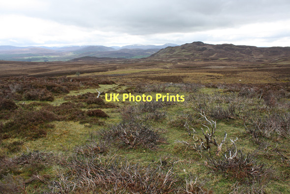 Photo 6"x4" Moorland near Allt na Baranachd Meall a' Chaochain Duibh c2011
