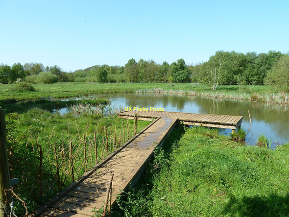 Photo 6"x4" Pond, Flitton Moor Ampthill c2011