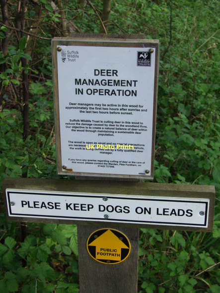 Photo 6"x4" Deer Management Sign Felsham c2011