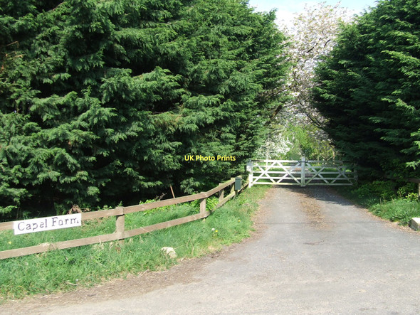 Photo 6"x4" Capel Farm entrance Colchester Green c2011