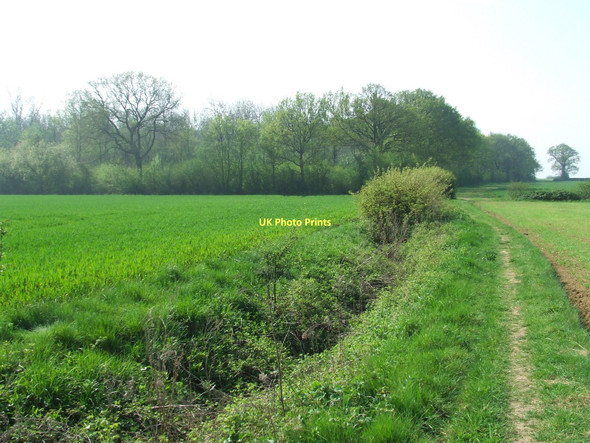 Photo 6"x4" Bulls Wood Colchester Green c2011