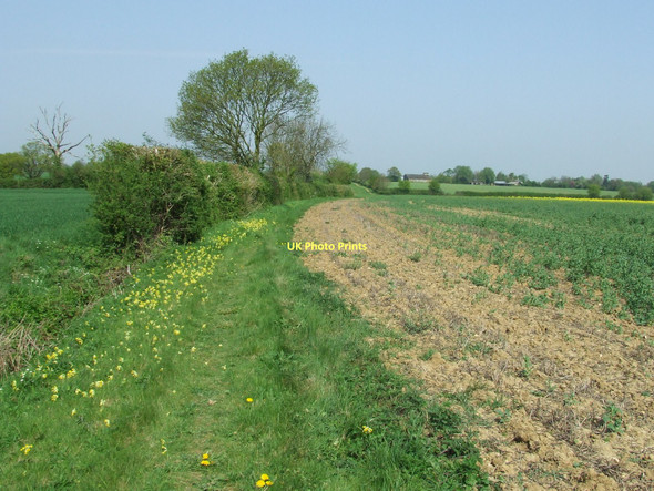 Photo 6"x4" To Brooke Hall Thorpe Green\/TL9354 c2011