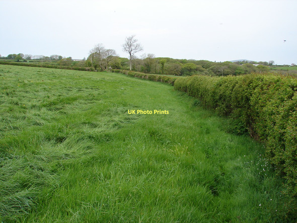Photo 6"x4" Footpath towards the A478 Llandissilio c2011
