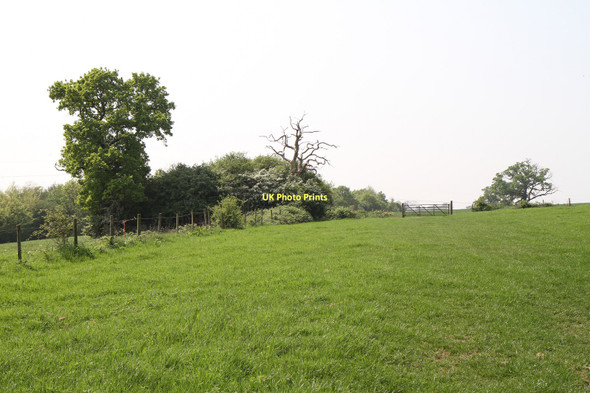 Photo 6"x4" Field Beside Edgwarebury Lane Edgware c2011