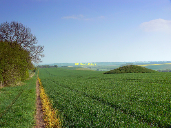 Photo 6"x4" A tumulus and the bridleway to Aldbourne, Sugar Hill Upper Upham c2011