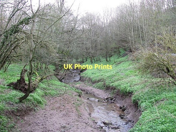 Photo 6"x4" Burn, Newbiggin Dean Grindon\/NT9144 c2011 P1
