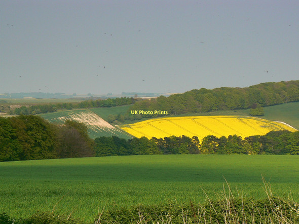 Photo 6"x4" Farmland east of the bridleway to Aldbourne Upper Upham c2011
