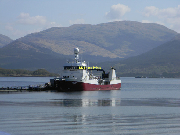 Photo 6"x4" Ronja Skye off South Shian South Shian c2011