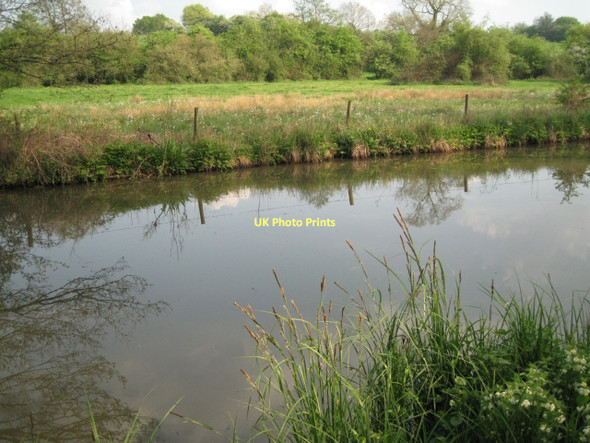 Photo 6"x4" Wildflowers by the Stratford-upon-Avon Canal: 1 Barnmoor Green c2011