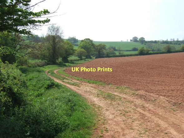 Photo 6"x4" Footpath beside freshly planted field Upton Hellions c2011