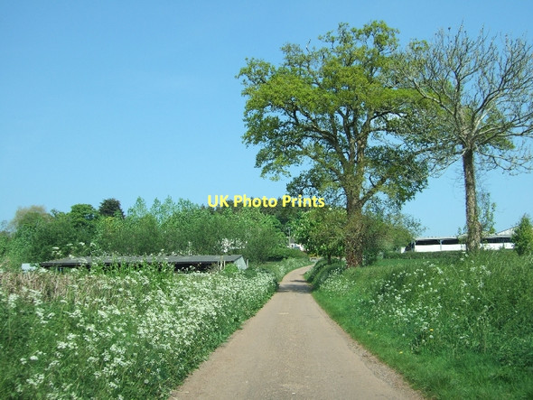 Photo 6"x4" Road to Lower Creedy Crediton c2011