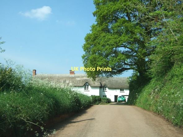 Photo 6"x4" Middleways between Lower Creedy and Upton Hellions Crediton c2011