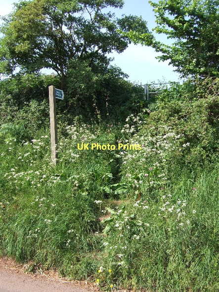 Photo 6"x4" Steps at junction of footpath with road in Shobrooke Shobrooke c2011
