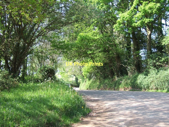 Photo 6"x4" Road to Uppincott from Raddon Cross Uppincott\/SS8802 c2011