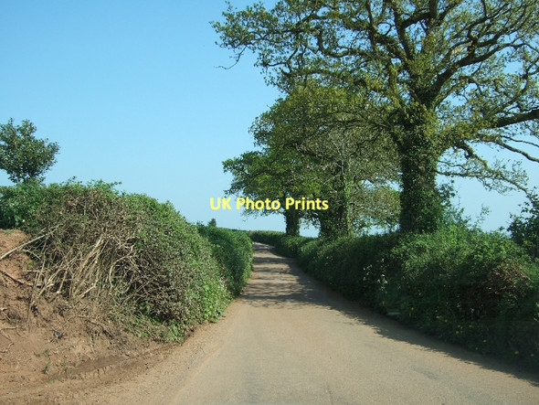 Photo 6"x4" Road near Raddon Court Uppincott\/SS8802 c2011