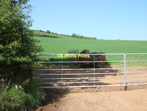 Photo 6"x4" Field on slope of Raddon Hills Uppincott\/SS8802 c2011