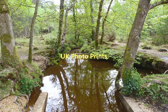 Photo 6"x4" Water Course in the New Forest Bisterne Close c2011