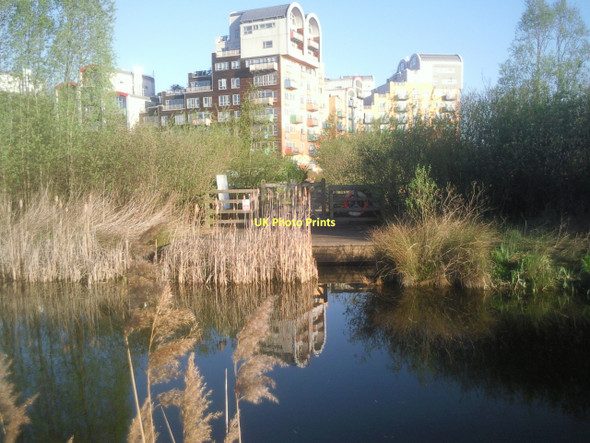 Photo 6"x4" View across Greenwich Ecology Park Greenwich\/TQ3977 c2011
