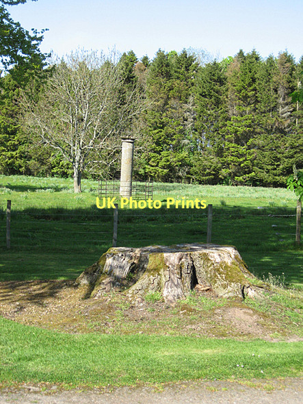 Photo 6"x4" Tree Stump by the Cross Fochabers c2011