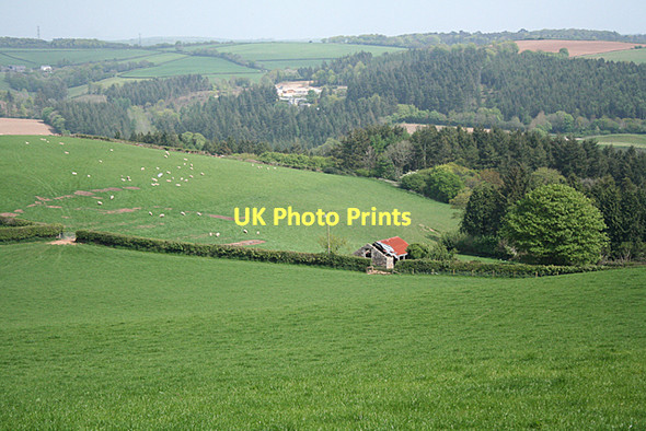 Photo 6"x4" Lostwithiel: towards Churchpark Wood Lostwithiel c2011