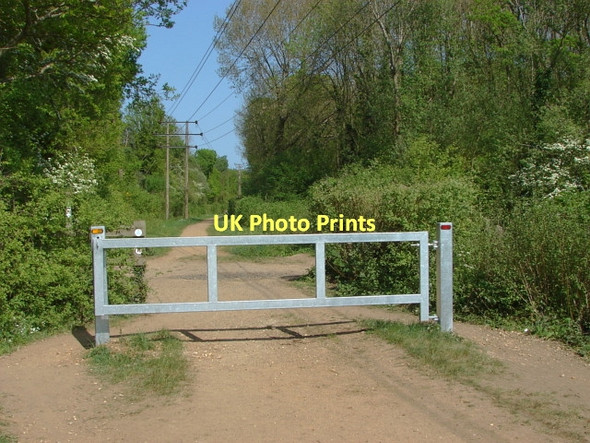 Photo 6"x4" Ash, disused railway Ash Green\/SU9049 c2011
