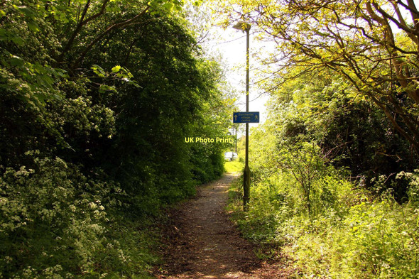 Photo 6"x4" Footpath to Dorchester Dorchester\/SU5794 c2011