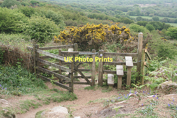 Photo 6"x4" Lanlivery: gate and stile Lowertown\/SX0561 c2011