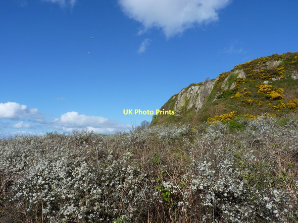 Photo 6"x4" Old cliffline west of Millport Millport c2011