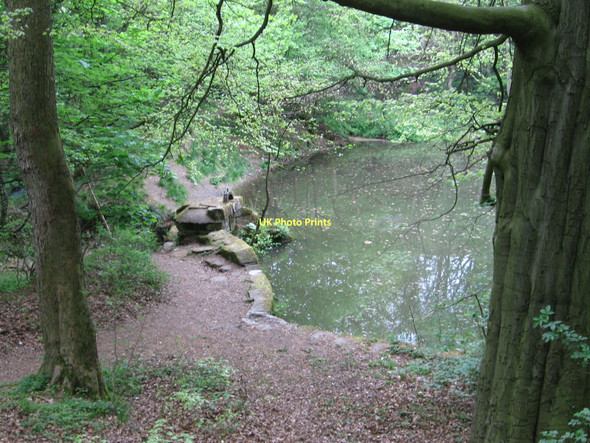 Photo 6"x4" Tansley - upper mill pond Matlock c2011