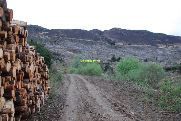 Photo 6"x4" Ben Culeshader Heatherfield c2011