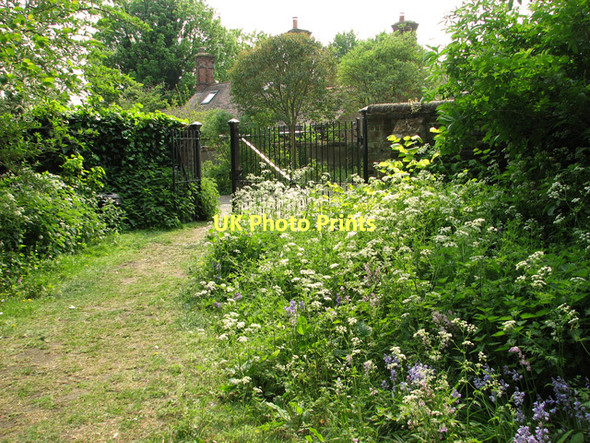 Photo 6"x4" The Gildencroft Quaker Cemetery, Norwich Norwich c2011 P2